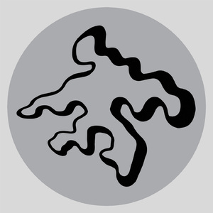 免费国产探花视频
