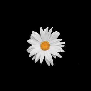 免费国产探花视频
