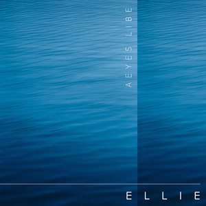 免费国产探花视频
